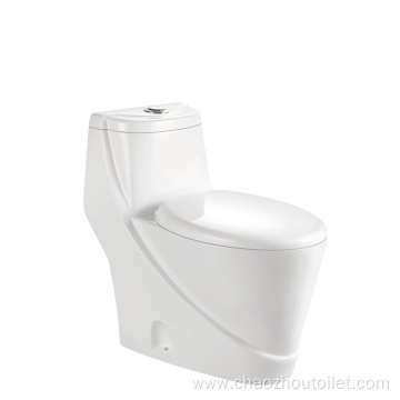 one piece toilet in costco wc jaquar yet